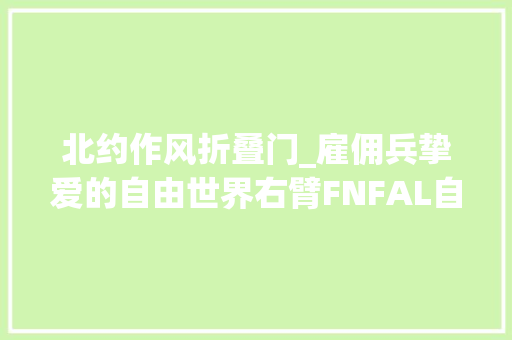 北约作风折叠门_雇佣兵挚爱的自由世界右臂FNFAL自动步枪