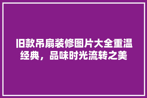 旧款吊扇装修图片大全重温经典，品味时光流转之美