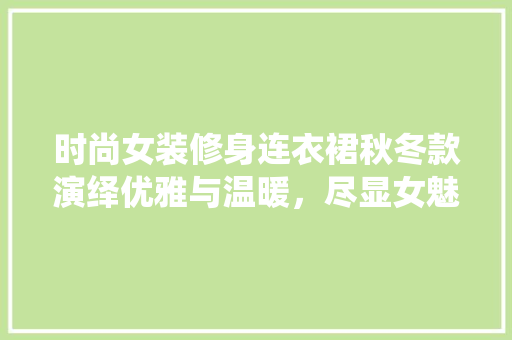 时尚女装修身连衣裙秋冬款演绎优雅与温暖，尽显女魅力