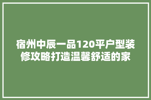 宿州中辰一品120平户型装修攻略打造温馨舒适的家