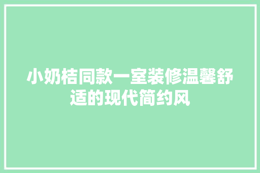小奶桔同款一室装修温馨舒适的现代简约风