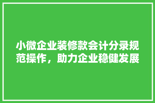 小微企业装修款会计分录规范操作，助力企业稳健发展