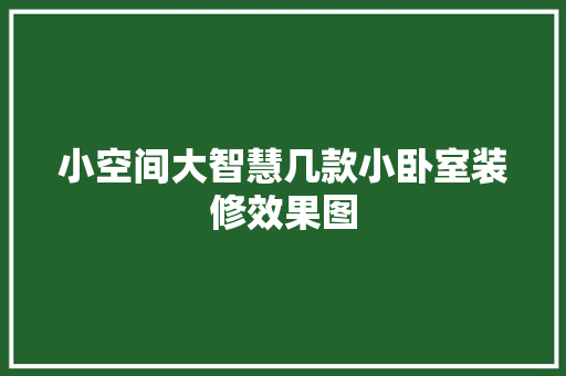 小空间大智慧几款小卧室装修效果图