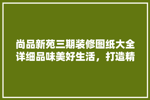 尚品新苑三期装修图纸大全详细品味美好生活，打造精致家居