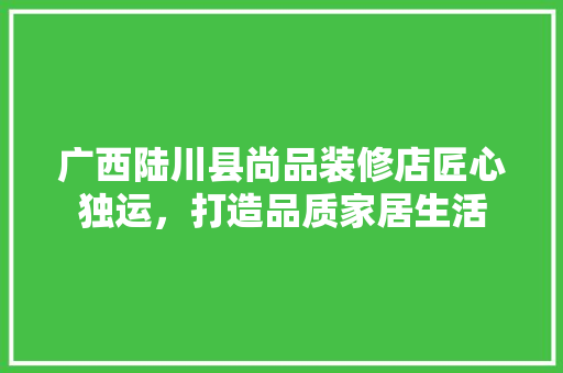 广西陆川县尚品装修店匠心独运，打造品质家居生活