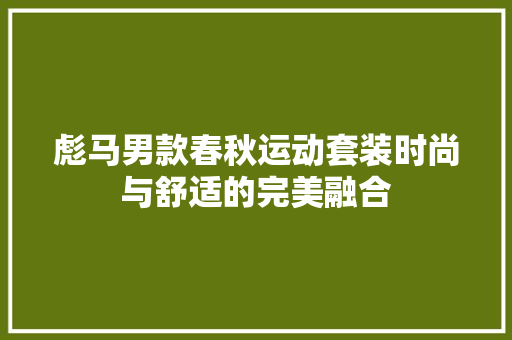 彪马男款春秋运动套装时尚与舒适的完美融合