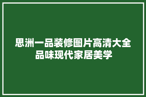 思洲一品装修图片高清大全品味现代家居美学