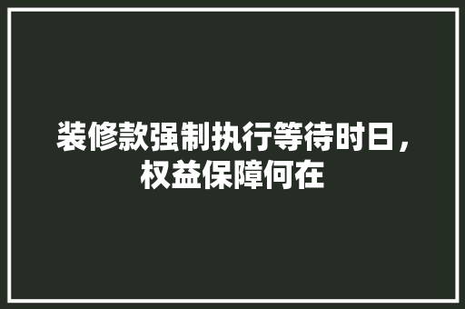 装修款强制执行等待时日，权益保障何在