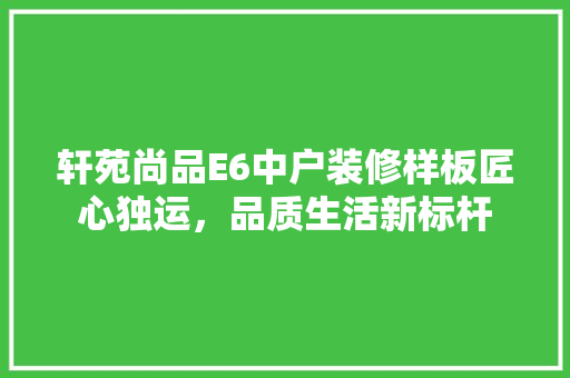 轩苑尚品E6中户装修样板匠心独运，品质生活新标杆