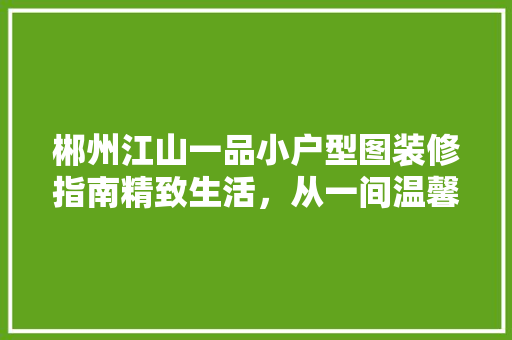 郴州江山一品小户型图装修指南精致生活，从一间温馨的小窝开始