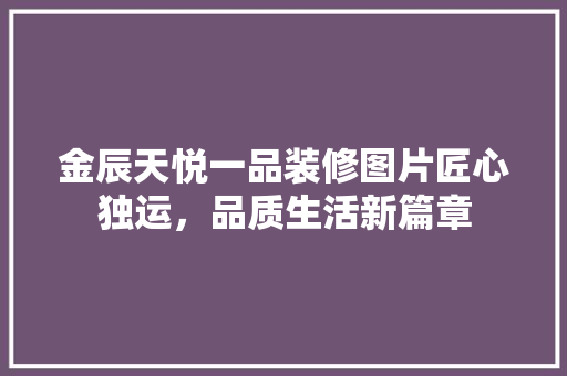 金辰天悦一品装修图片匠心独运，品质生活新篇章