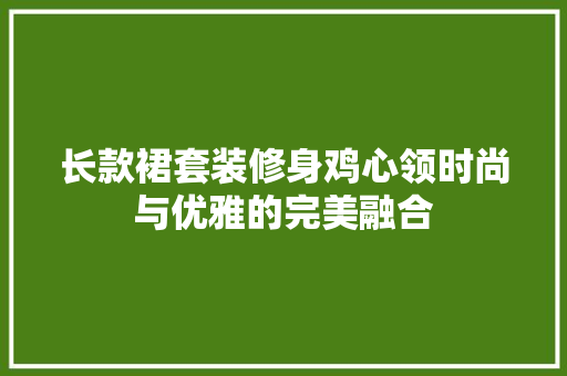 长款裙套装修身鸡心领时尚与优雅的完美融合
