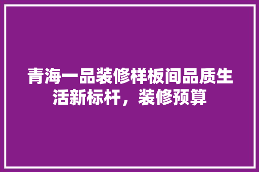 青海一品装修样板间品质生活新标杆，装修预算