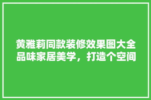 黄雅莉同款装修效果图大全品味家居美学，打造个空间