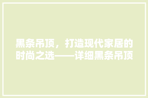 黑条吊顶，打造现代家居的时尚之选——详细黑条吊顶的选择与应用