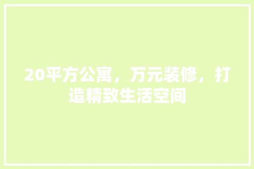 20平方公寓，万元装修，打造精致生活空间