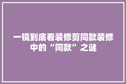 一镜到底看装修剪同款装修中的“同款”之谜
