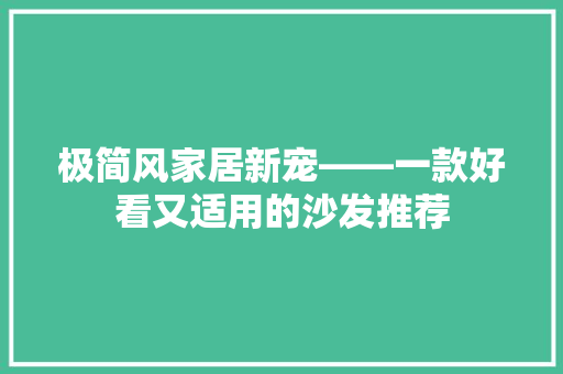 极简风家居新宠——一款好看又适用的沙发推荐