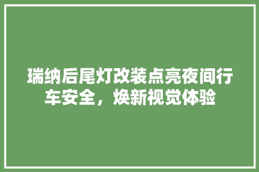 瑞纳后尾灯改装点亮夜间行车安全，焕新视觉体验