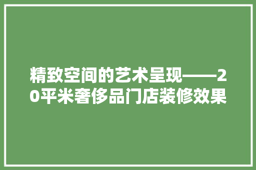 精致空间的艺术呈现——20平米奢侈品门店装修效果图