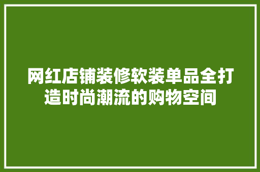 网红店铺装修软装单品全打造时尚潮流的购物空间