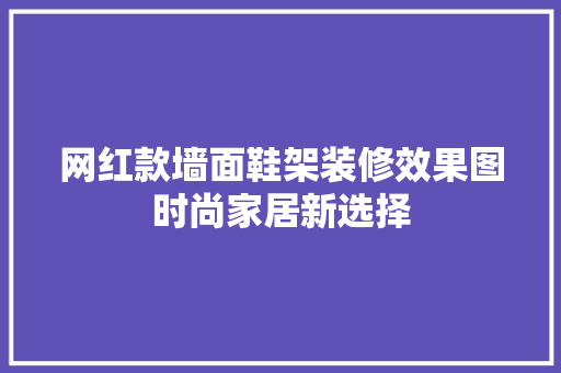 网红款墙面鞋架装修效果图时尚家居新选择