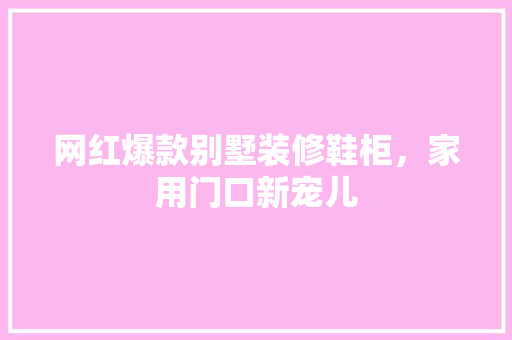 网红爆款别墅装修鞋柜，家用门口新宠儿