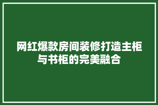 网红爆款房间装修打造主柜与书柜的完美融合