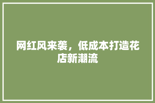 网红风来袭，低成本打造花店新潮流