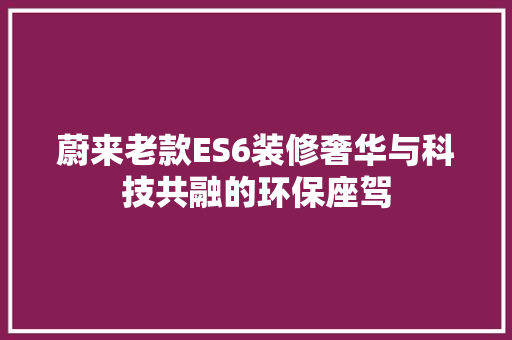 蔚来老款ES6装修奢华与科技共融的环保座驾
