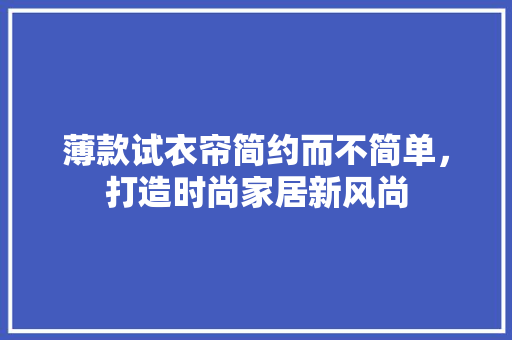 薄款试衣帘简约而不简单，打造时尚家居新风尚