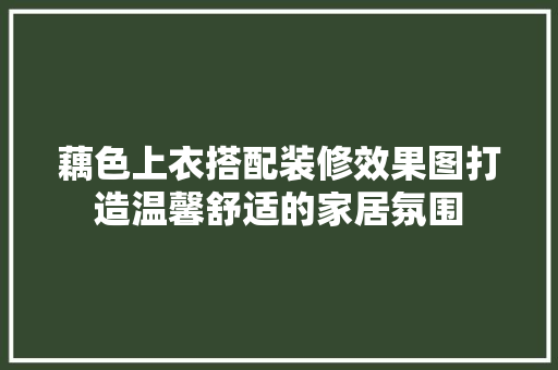 藕色上衣搭配装修效果图打造温馨舒适的家居氛围