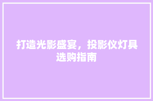 打造光影盛宴，投影仪灯具选购指南
