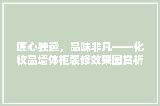 匠心独运，品味非凡——化妆品墙体柜装修效果图赏析