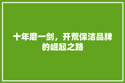 十年磨一剑，开荒保洁品牌的崛起之路