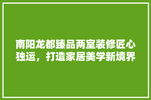 南阳龙都臻品两室装修匠心独运，打造家居美学新境界
