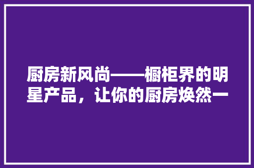 厨房新风尚——橱柜界的明星产品，让你的厨房焕然一新！