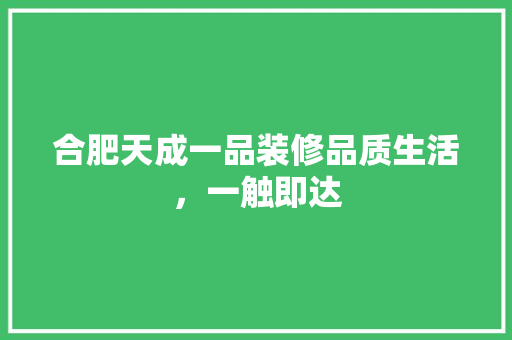 合肥天成一品装修品质生活，一触即达