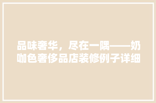 品味奢华，尽在一隅——奶咖色奢侈品店装修例子详细