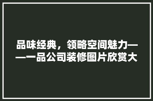 品味经典，领略空间魅力——一品公司装修图片欣赏大全
