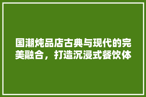 国潮炖品店古典与现代的完美融合，打造沉浸式餐饮体验
