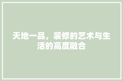 天地一品，装修的艺术与生活的高度融合