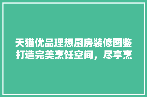 天猫优品理想厨房装修图鉴打造完美烹饪空间，尽享烹饪乐趣