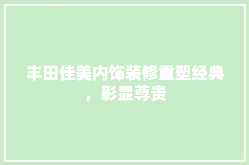 丰田佳美内饰装修重塑经典，彰显尊贵