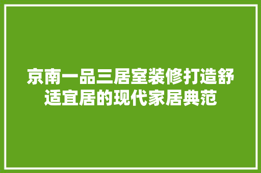 京南一品三居室装修打造舒适宜居的现代家居典范