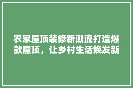 农家屋顶装修新潮流打造爆款屋顶，让乡村生活焕发新颜