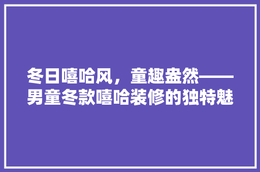 冬日嘻哈风，童趣盎然——男童冬款嘻哈装修的独特魅力