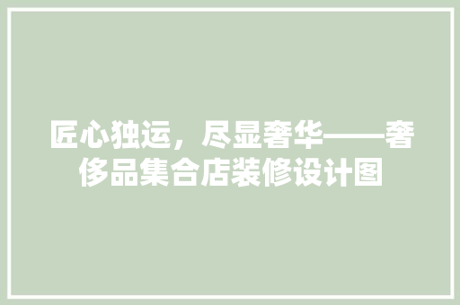 匠心独运，尽显奢华——奢侈品集合店装修设计图
