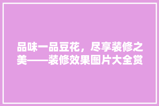 品味一品豆花，尽享装修之美——装修效果图片大全赏析
