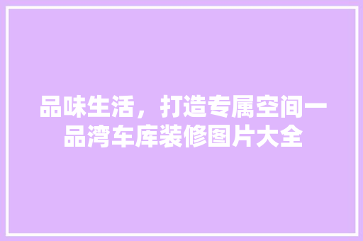 品味生活，打造专属空间一品湾车库装修图片大全